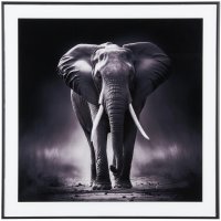 Bild Photo art Elephant Glas Black & White Present Time