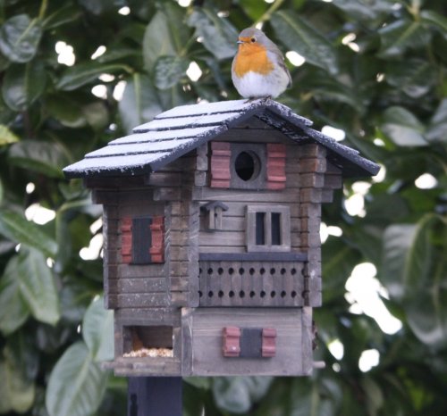Wildlife-Garten Nistkasten & Futterhaus In Blau-weiß – Multifunktion Für Vögel
